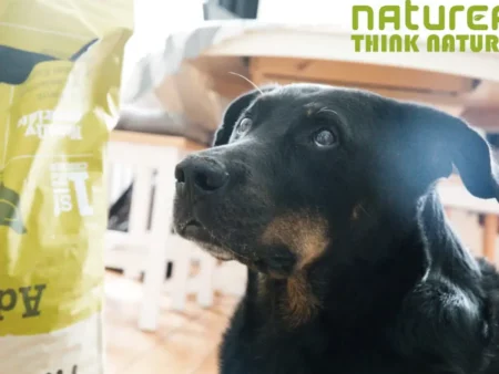Naturea Elements Adulte