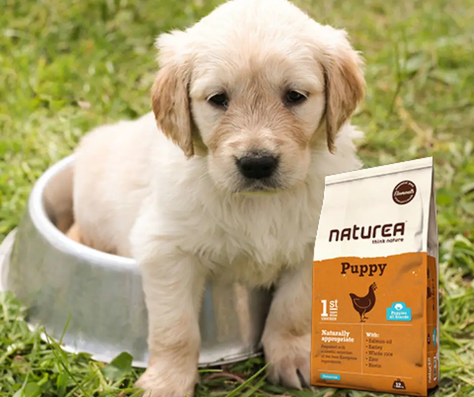 Chiot assis dans une gamelle à côté d’un sac de Croquettes Naturea Elements Chiot Poulet.