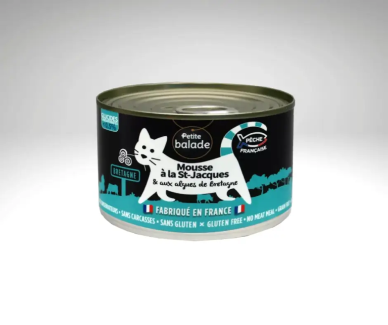 Schachtel mit Jakobsmuschelmousse, Ansicht von vorn.