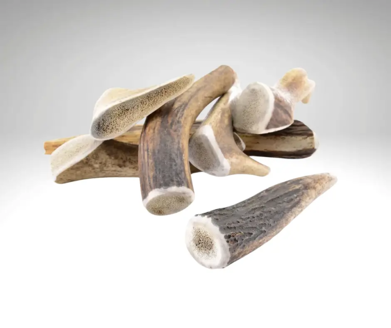 Bois de cerf entier pour chien – friandise naturelle à mâcher, durable et sans odeur