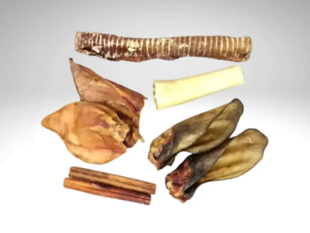 Assortiment d’articles à ronger de différentes formes et couleurs.