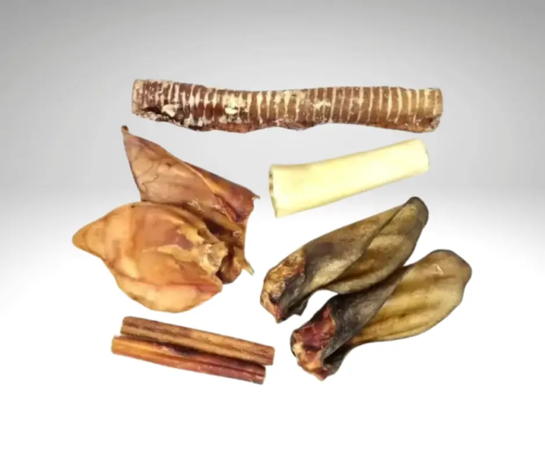 Assortment of durable natural dog treats presented on a light grey background.