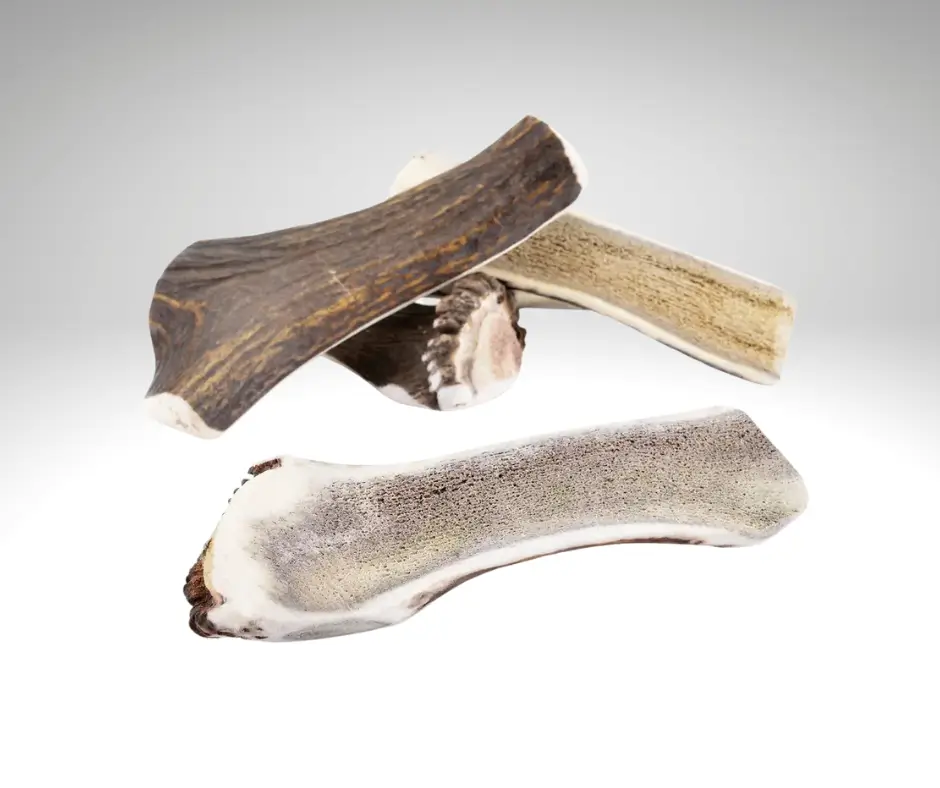 Bois de cerf tranché pour chien – friandise naturelle robuste et savoureuse, riche en minéraux.