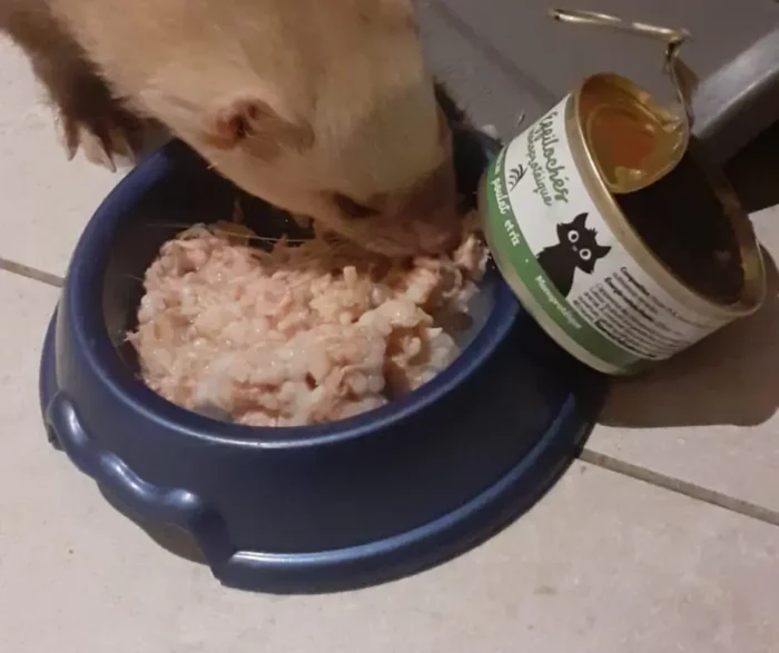 Effilochées poulet et riz