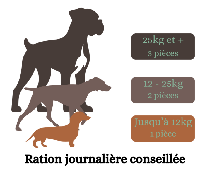 Ration journalière