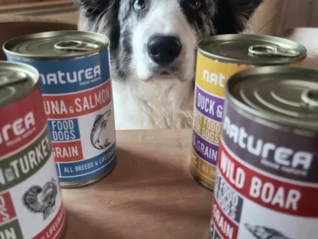 pâtée pour chien Naturea