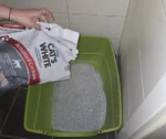 Litière Charbon Actif