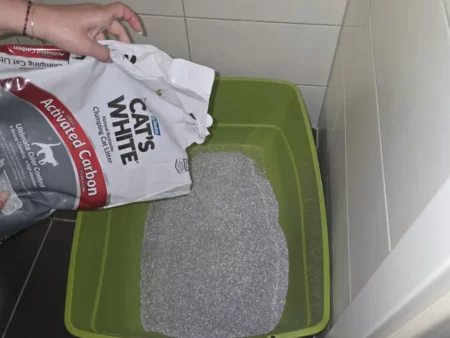 Litière Charbon Actif