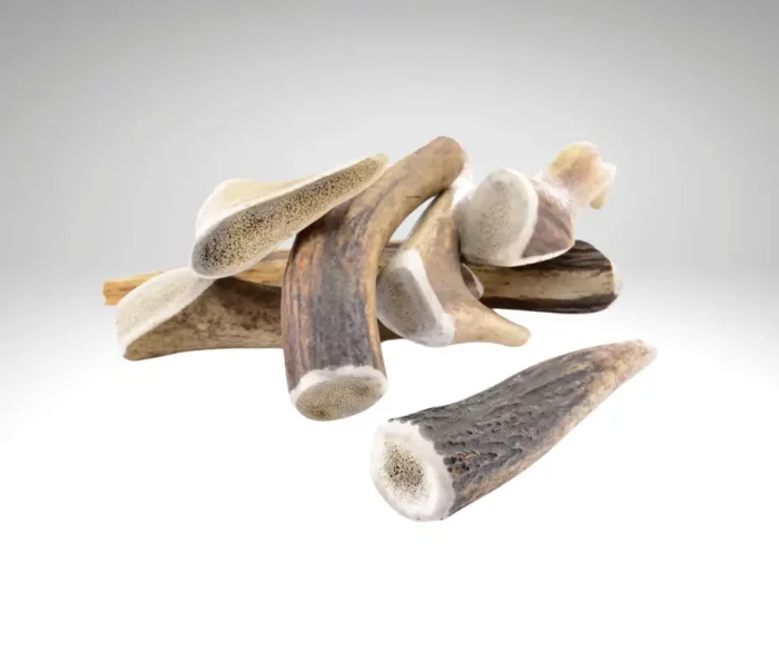 Bois de Cerf Entier