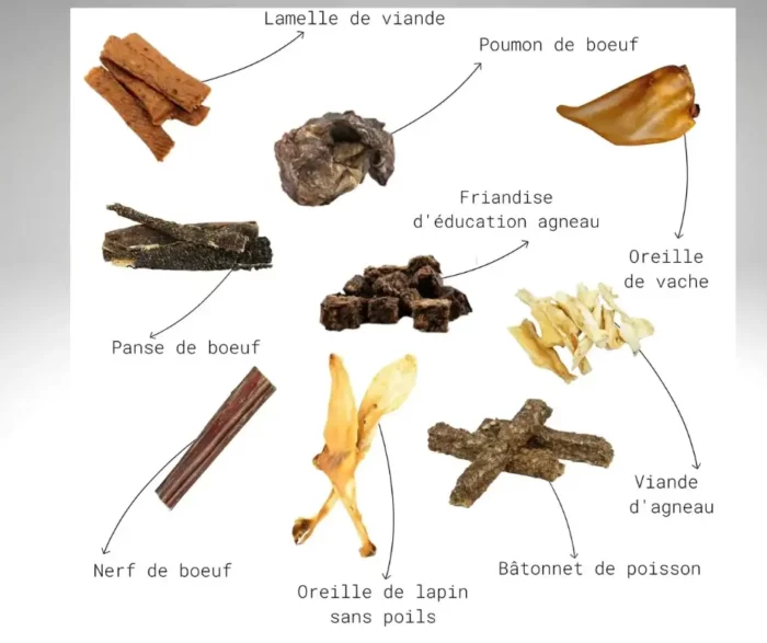 Pack Mâchouille Découverte – Image 2