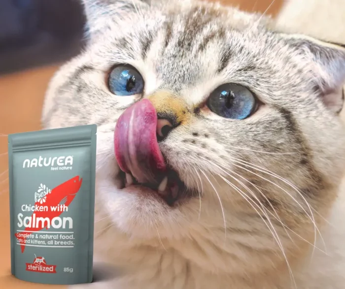 Pâtée Poulet Saumon – Image 2