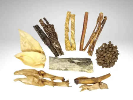 Assortiment de friandises naturelles pour chiens présenté sur fond gris clair.