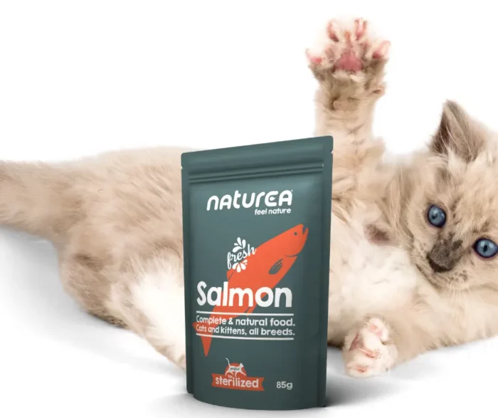 Pâtée au Saumon – Image 2