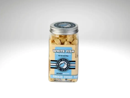 Pot de friandises lyophilisées au poisson blanc Kiwi Walker pour chiens et chats, posé sur un fond gris clair.