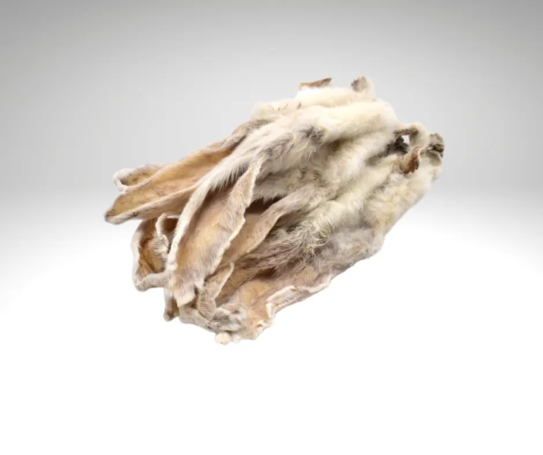 Oreilles de lapin séchées avec poil regroupées sur un fond gris clair.