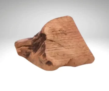 Morceau de racine de bruyère naturel pour chien, posé sur fond gris clair.