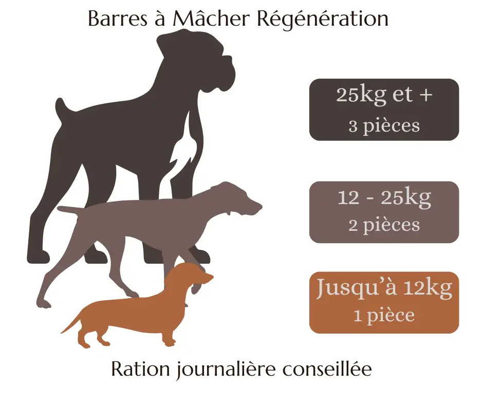 Illustration Barres à Mâcher Régénération montrant la ration quotidienne selon la taille du chien.