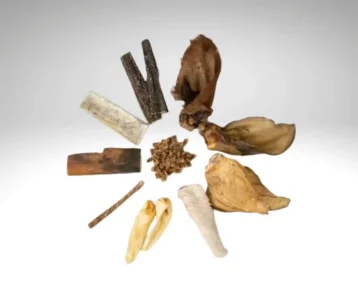 Assortiment de friandises naturelles pour chiens disposées en cercle sur fond clair.