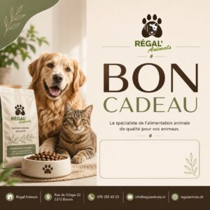 Bons Cadeaux