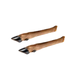 Patte De Chevreuil Mastication Naturelle Pour Chien