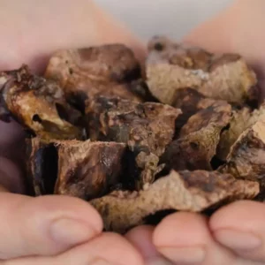 Morceaux de poumon de bœuf séché Cernunos friandises à ronger pour chien