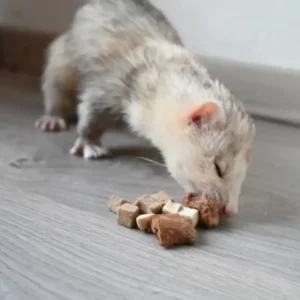 Friandises Pour Furets