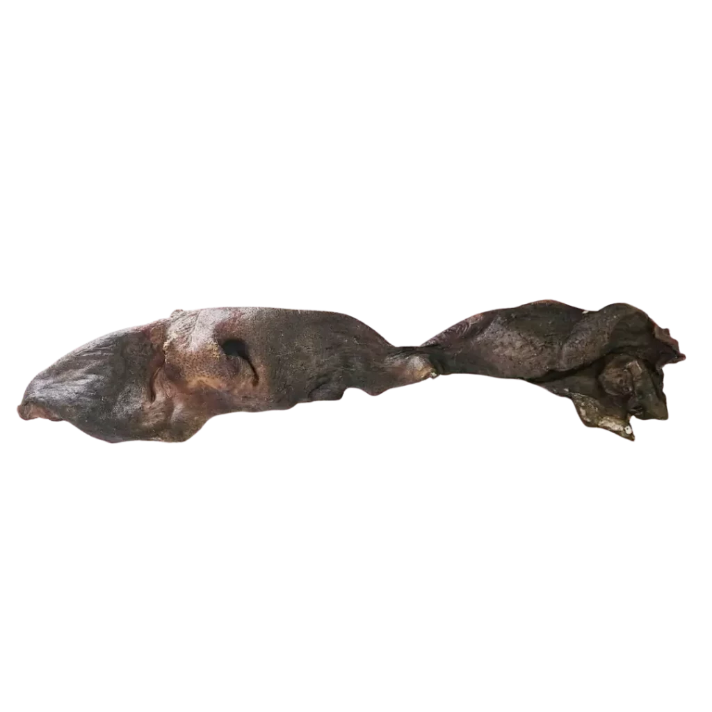 Museau de bœuf séché sans poils pour chien, mastication naturelle